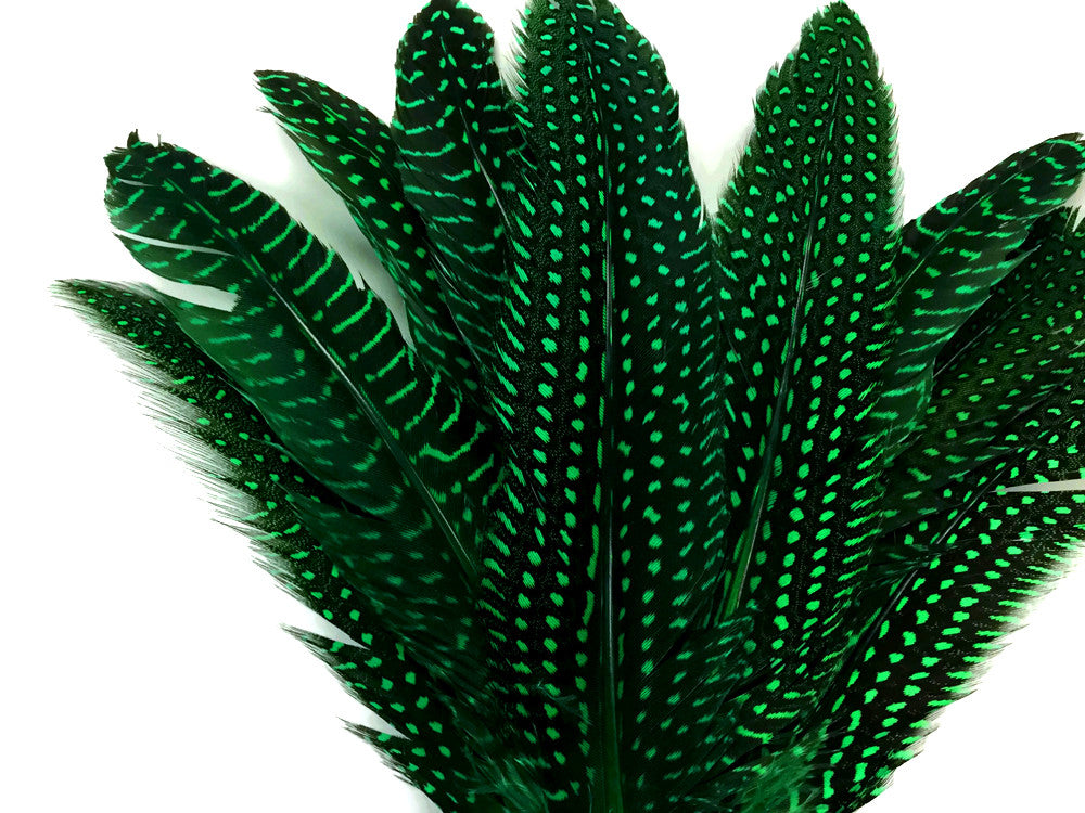 10 Pieces - Dyed Kelly Green Polka Dot Guinea Fowl Wing Quill Feathers