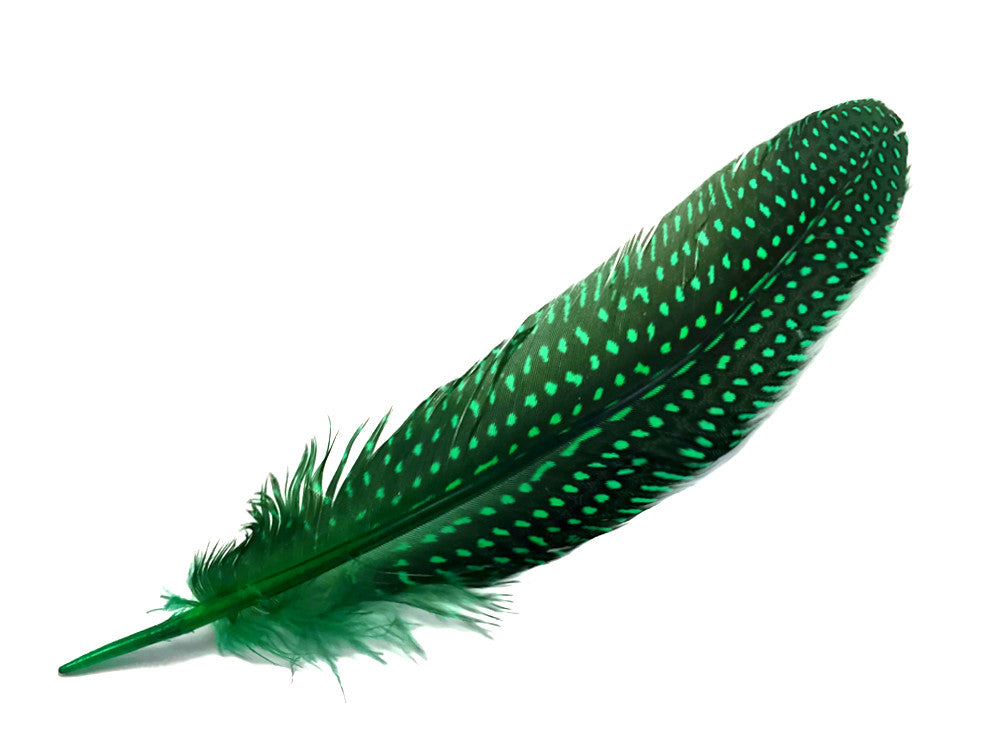 1/8 lb. Kelly Green Polka Dot Guinea Fowl Wing Quills Wholesale Feathers (Bulk)