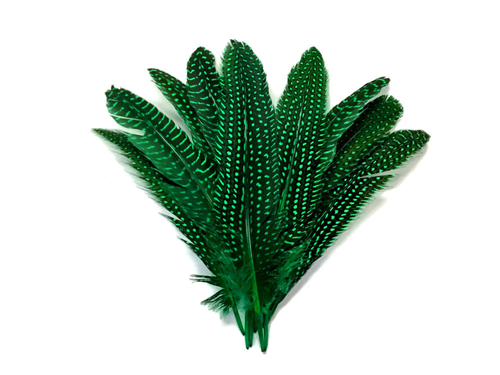 10 Pieces - Dyed Kelly Green Polka Dot Guinea Fowl Wing Quill Feathers