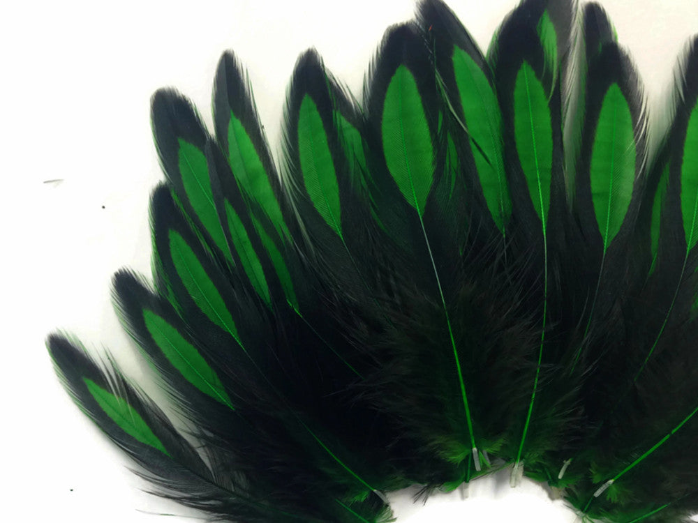 1 Dozen - Kelly Green Whiting Farms BLW Laced Hen Cape Loose Feathers