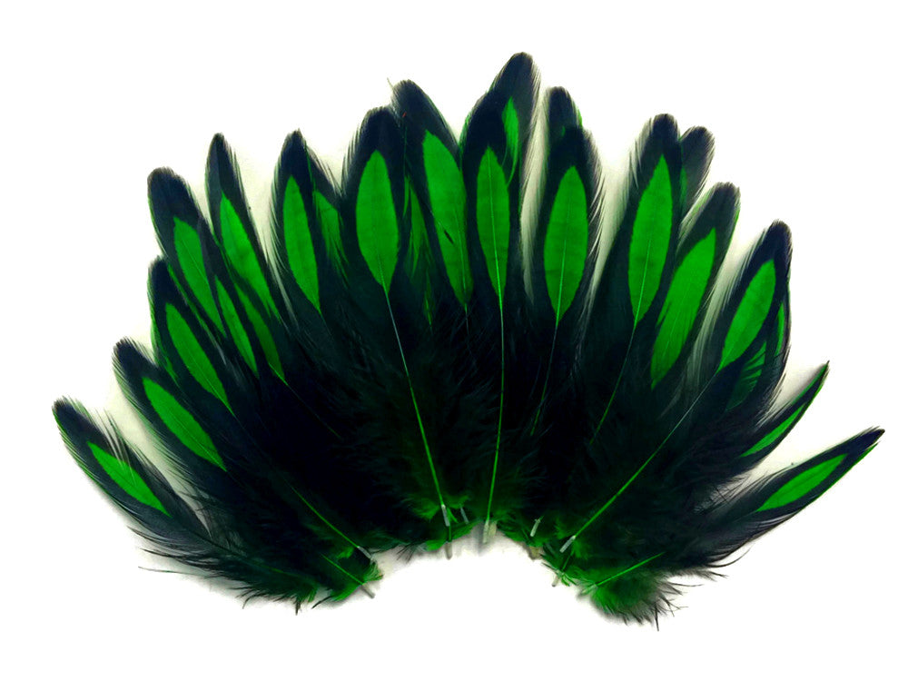 1 Dozen - Kelly Green Whiting Farms BLW Laced Hen Cape Loose Feathers