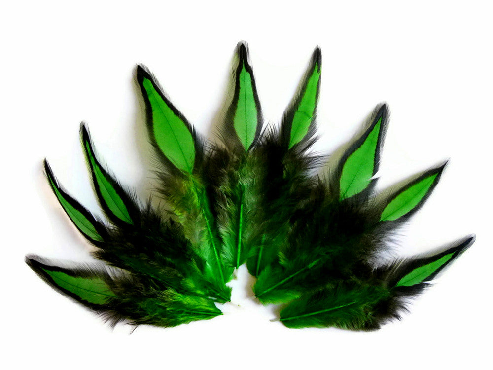 1 Dozen - Kelly Green Whiting Farms BLW Laced Hen Cape Loose Feathers