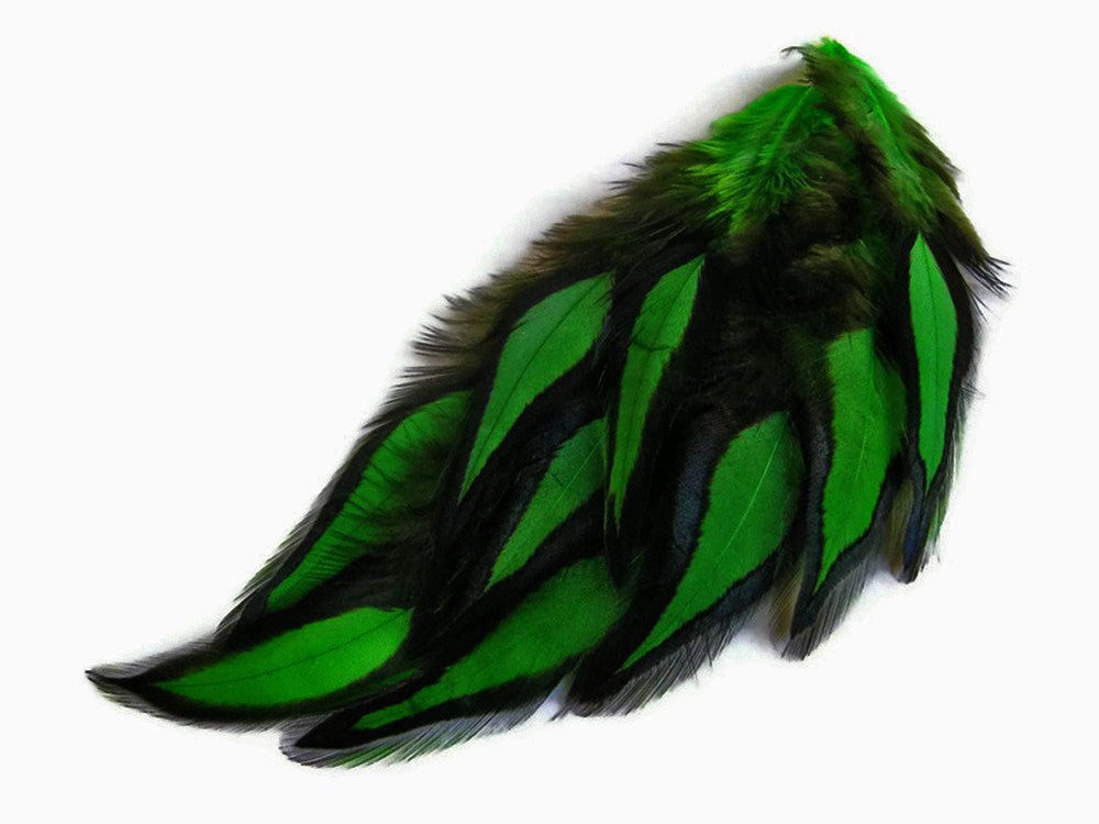 1 Dozen - Kelly Green Whiting Farms BLW Laced Hen Cape Loose Feathers