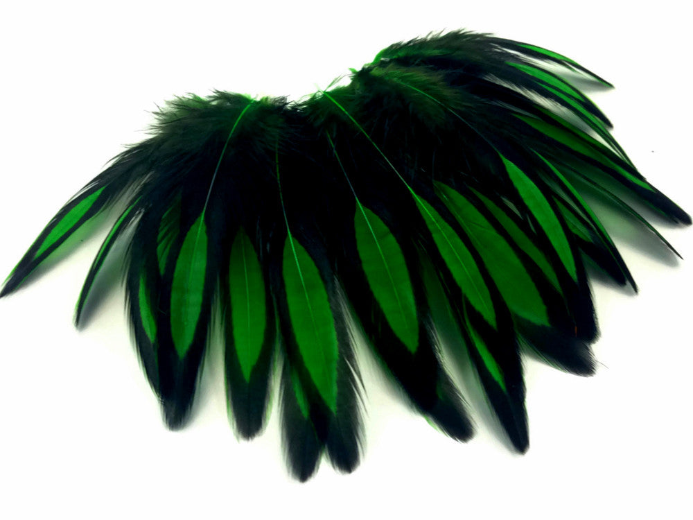 1 Dozen - Kelly Green Whiting Farms BLW Laced Hen Cape Loose Feathers