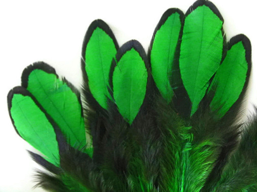 1 Dozen - Kelly Green Whiting Farms Laced Hen Saddle Feathers