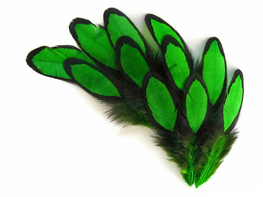 1 Dozen - Kelly Green Whiting Farms Laced Hen Saddle Feathers