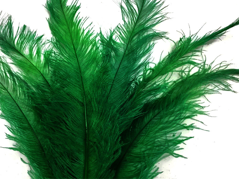 1/2 Lb - Kelly Green Large Ostrich Spads Wholesale Feathers 20-28" (Bulk)