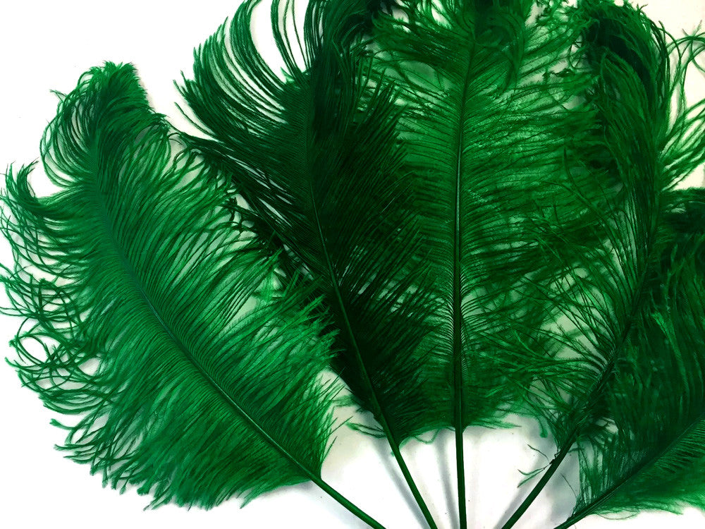 10 Pieces -  12-16" Kelly Green Dyed Ostrich Tail Fancy Feathers