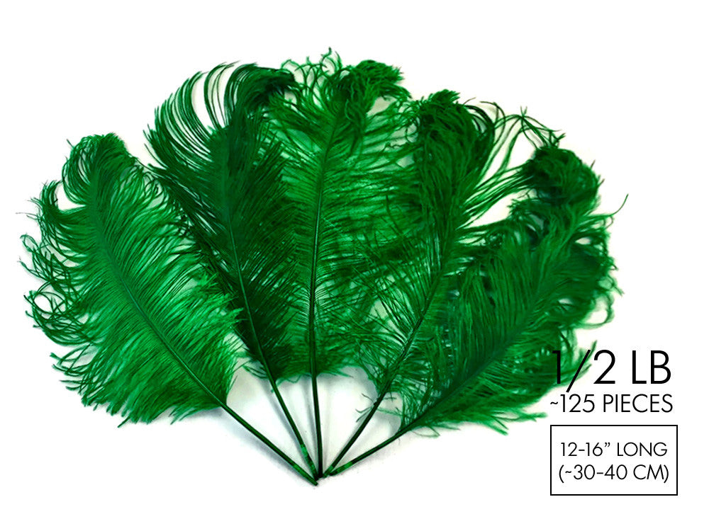 10 Pieces -  12-16" Kelly Green Dyed Ostrich Tail Fancy Feathers