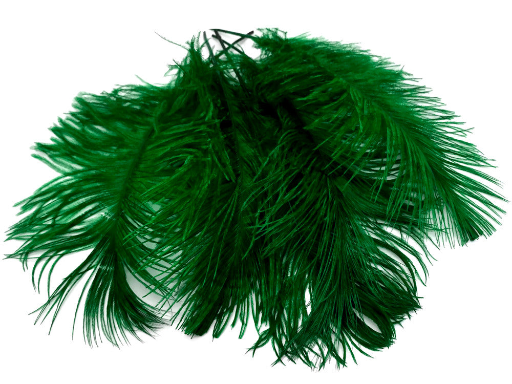 1/2 Lb - 12-16" Kelly Green Ostrich Tail Wholesale Fancy Feathers (Bulk)