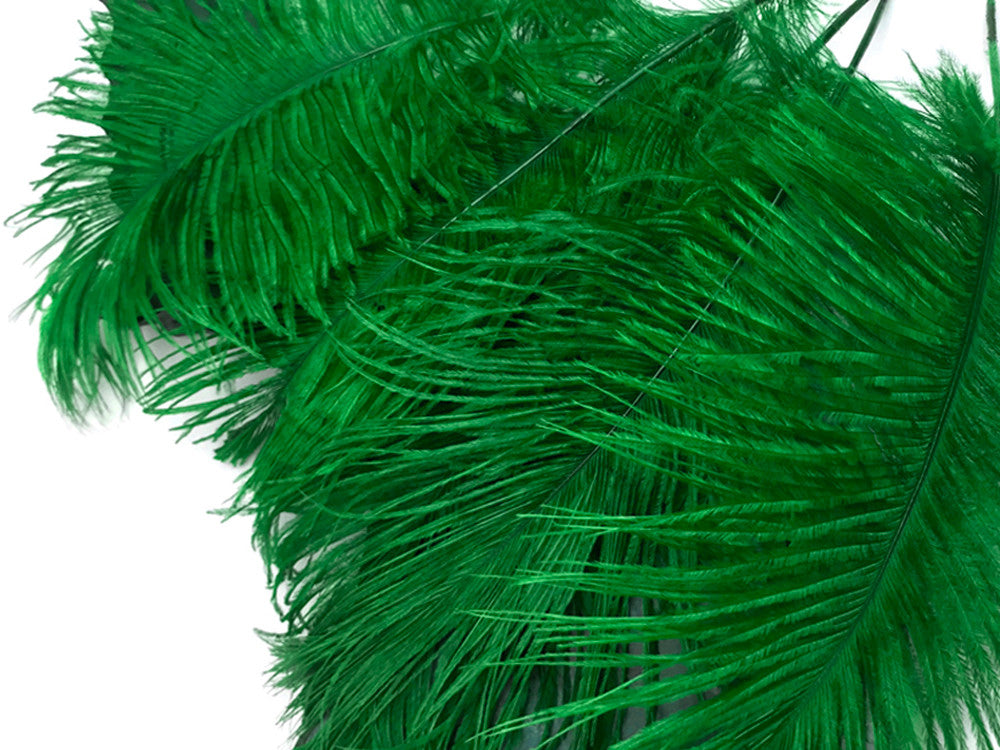 1/2 Lb - 12-16" Kelly Green Ostrich Tail Wholesale Fancy Feathers (Bulk)