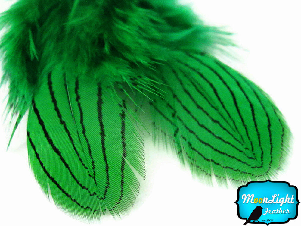 1 Dozen - Green Silver Pheasant Feathers