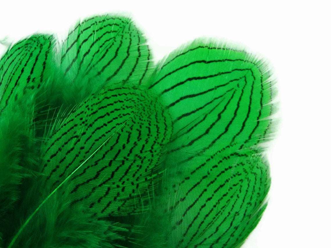 1 Dozen - Green Silver Pheasant Feathers