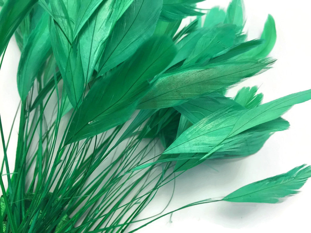 1 Dozen - Kelly Green Stripped Rooster Coque Tail Feathers