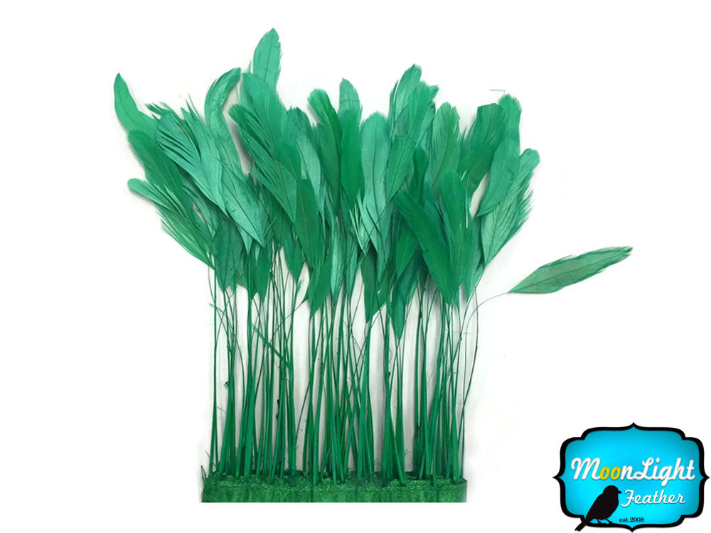 1 Dozen - Kelly Green Stripped Rooster Coque Tail Feathers