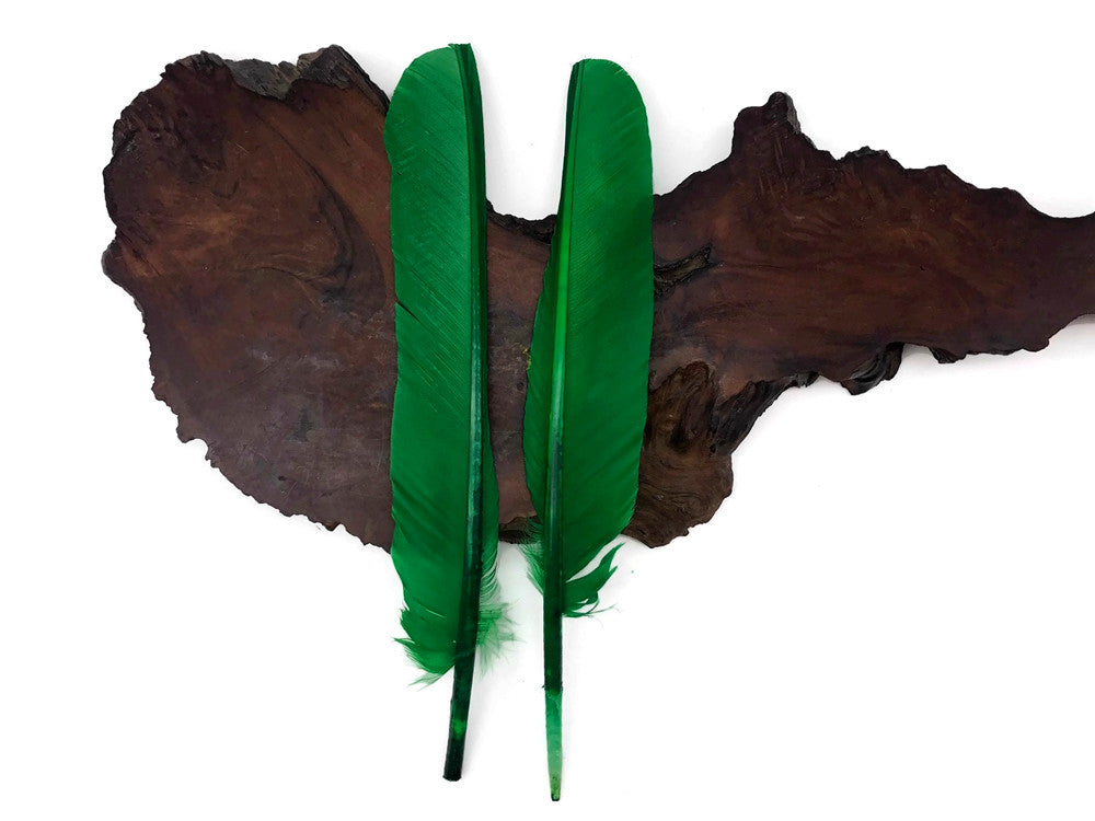 6 Pieces - Kelly Green Turkey Pointers Primary Wing Quill Large Feathers