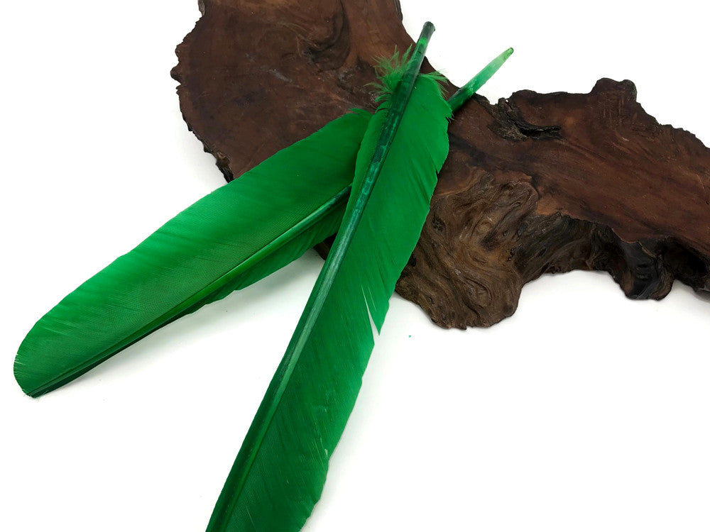 1/4 Lb - Kelly Green Turkey Pointers Primary Wing Quill Large Wholesale Feathers (Bulk)