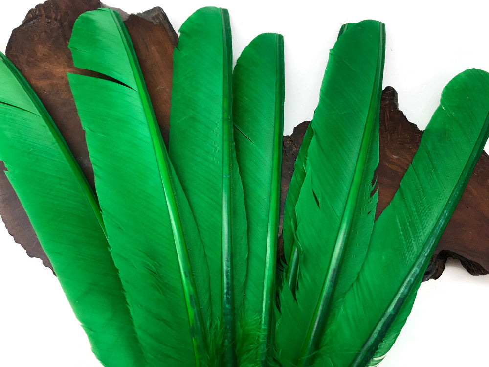 6 Pieces - Kelly Green Turkey Pointers Primary Wing Quill Large Feathers