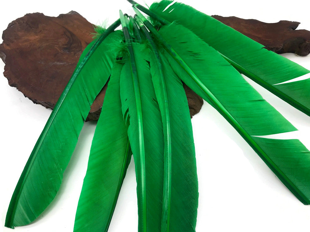 1/4 Lb - Kelly Green Turkey Pointers Primary Wing Quill Large Wholesale Feathers (Bulk)