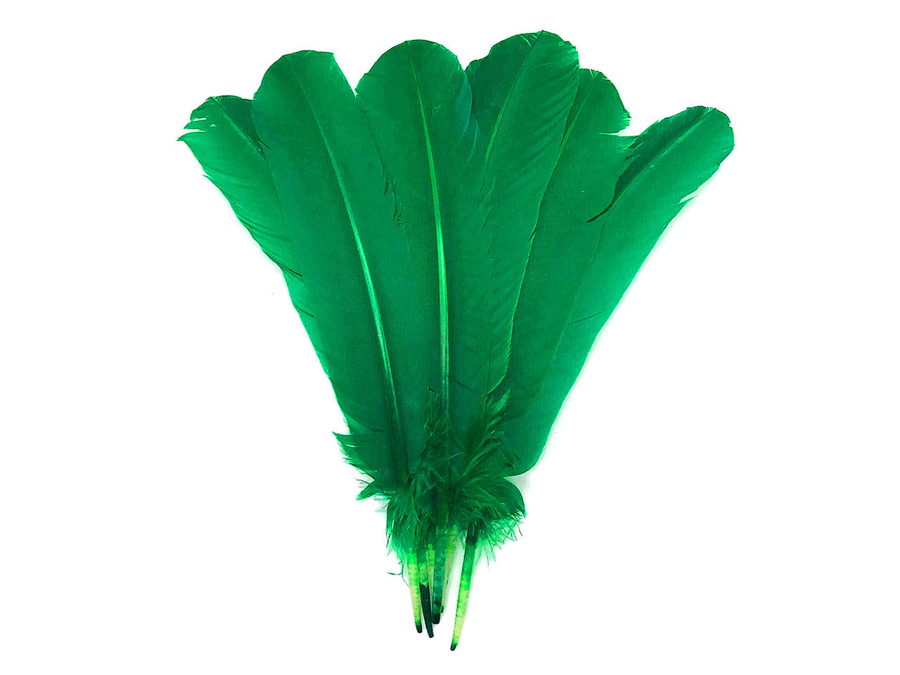 6 Pieces - Kelly Green Turkey Rounds Secondary Wing Quill Feathers