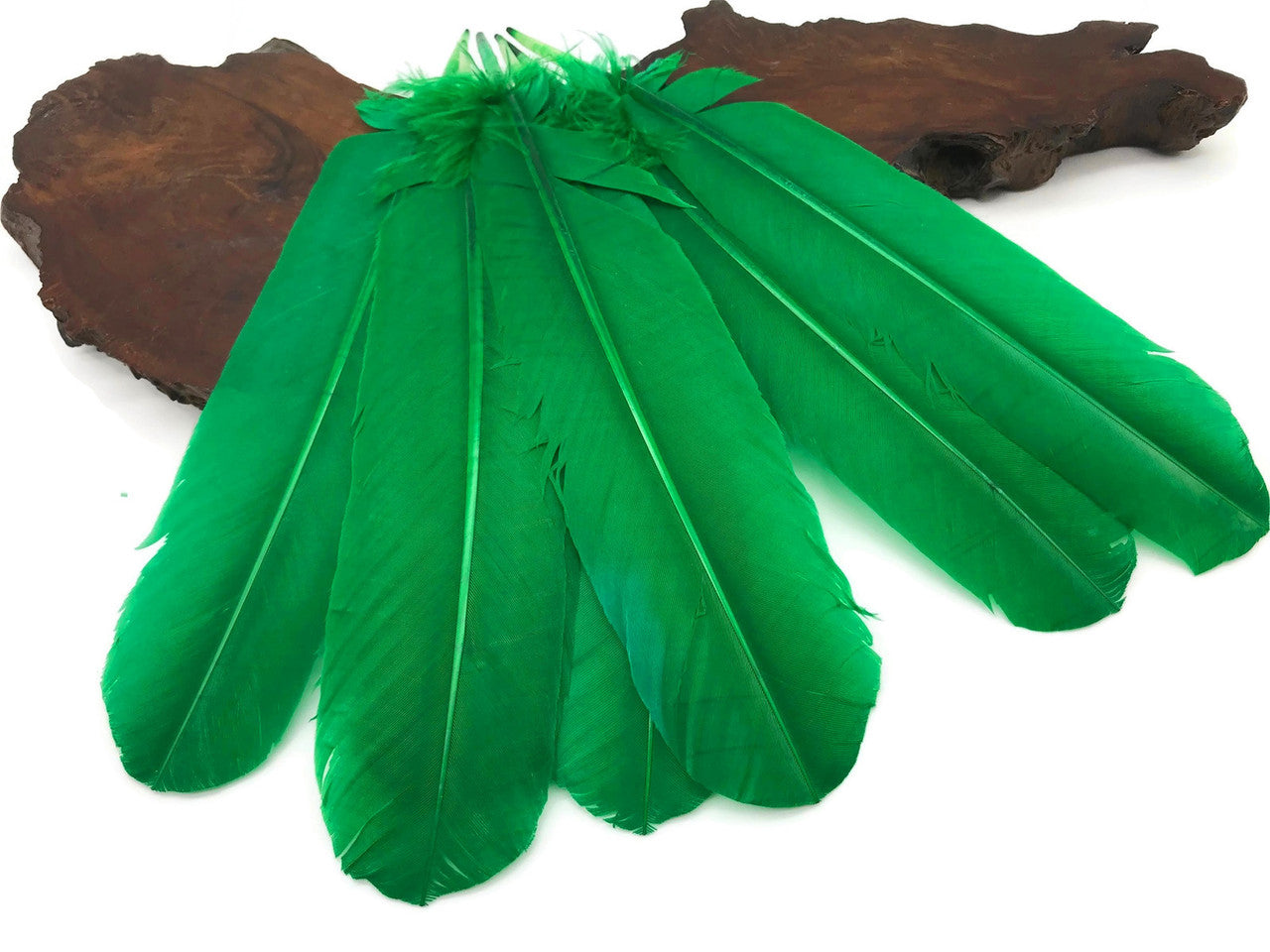 1/4 Lb - Kelly Green Turkey Tom Rounds Secondary Wing Quill Wholesale Feathers (Bulk)