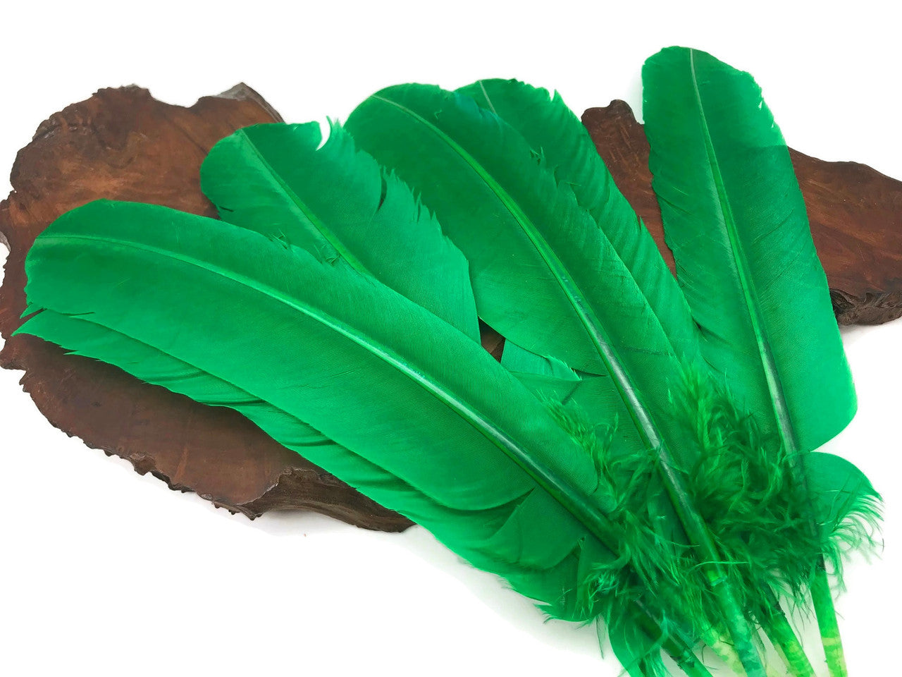 1/4 Lb - Kelly Green Turkey Tom Rounds Secondary Wing Quill Wholesale Feathers (Bulk)