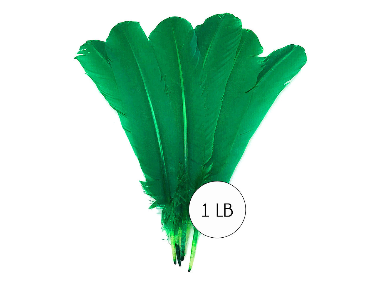 1 Lb. - Kelly Green Turkey Tom Rounds Secondary Wing Quill Wholesale Feathers (Bulk)