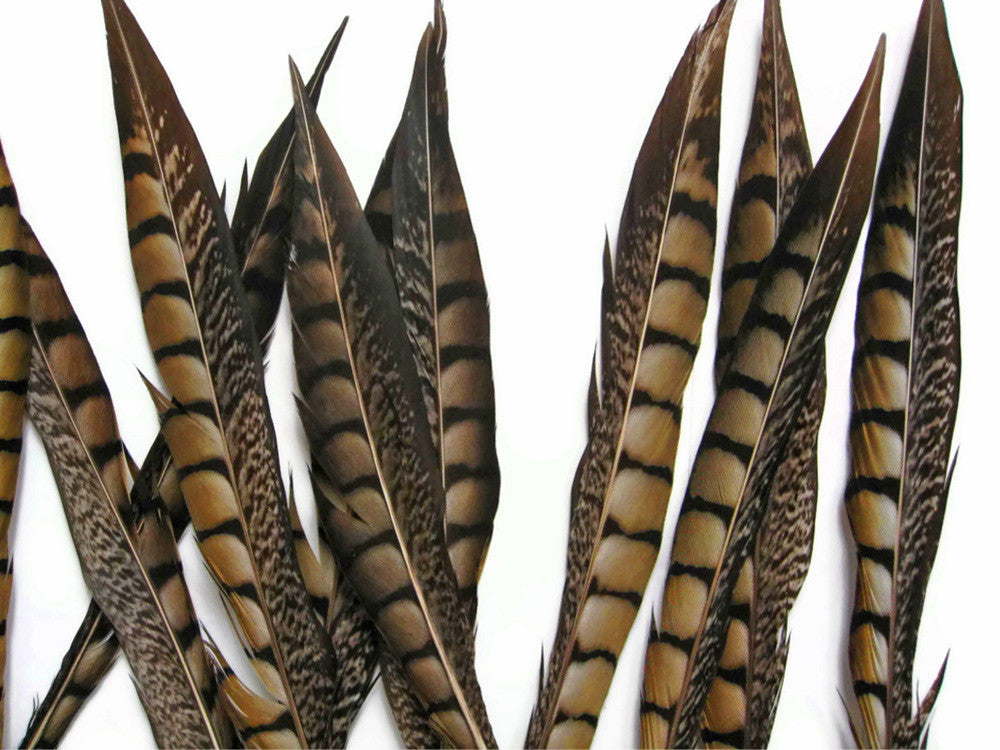 10 Pieces - 35-40" Natural Long Lady Amherst Pheasant Tail Feathers