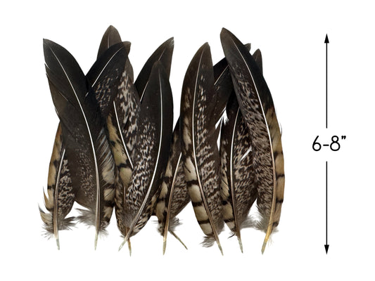 10 Pieces - 6-8" Natural Striped Lady Amherst Pheasant Tail Feathers