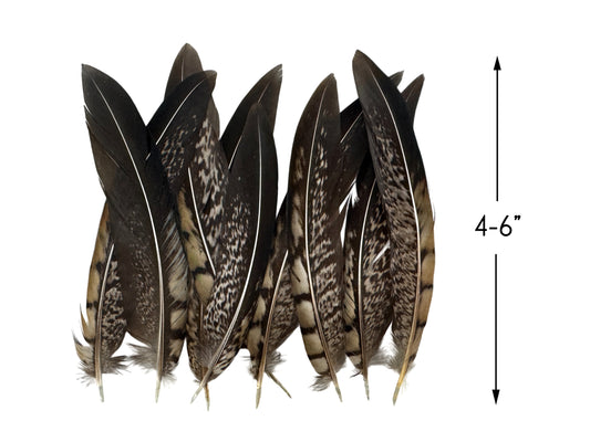 10 Pieces - 4-6" Natural Striped Lady Amherst Pheasant Tail Feathers