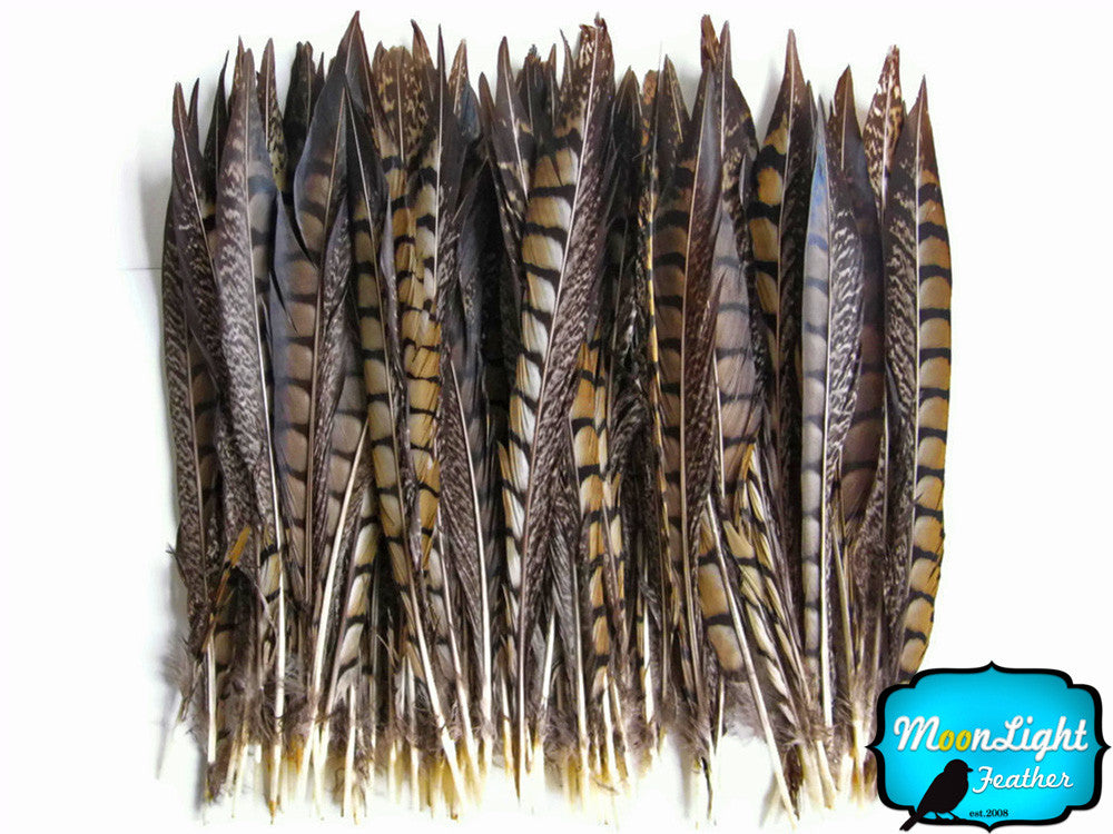 50 Pieces - 12-14" Natural Lady Amherst Pheasant Tail Wholesale Feathers (Bulk)