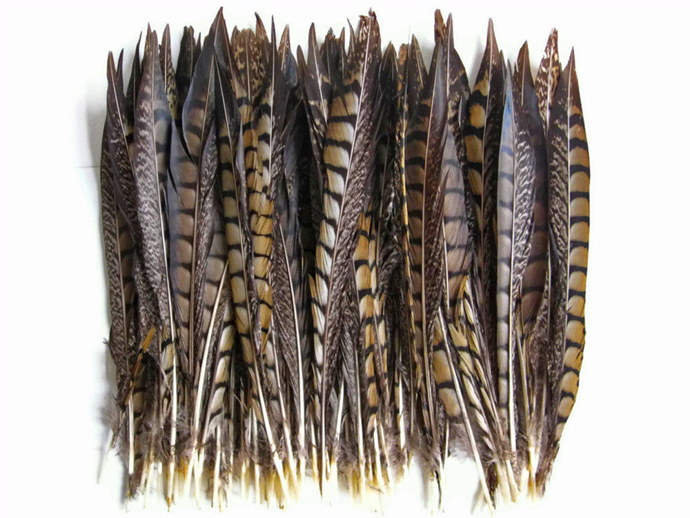 50 Pieces - 10-12" Natural Lady Amherst Pheasant Tail Wholesale Feathers (Bulk)