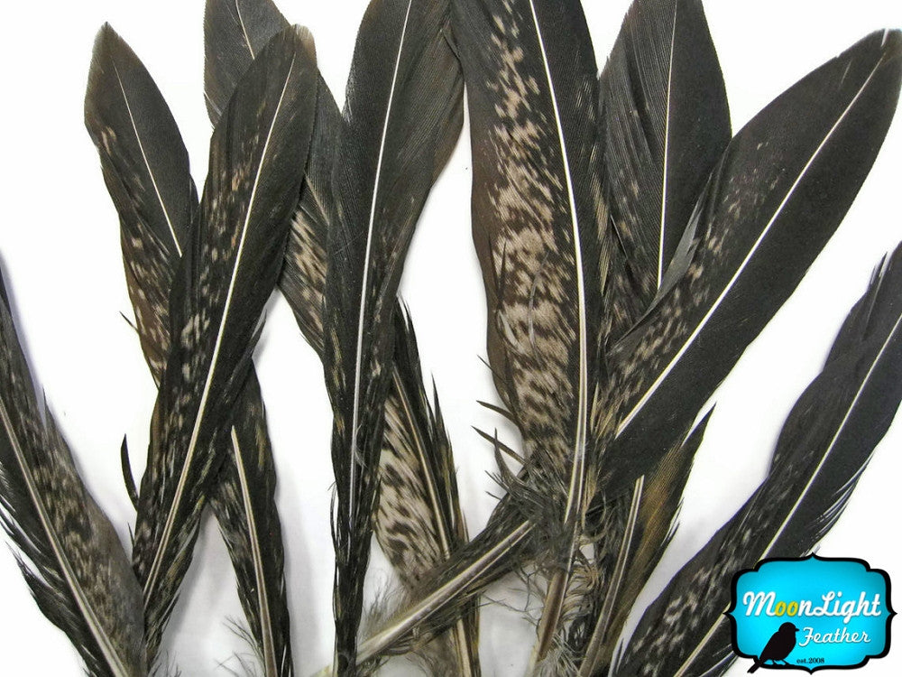 10 Pieces - 4-6" Natural Lady Amherst Pheasant Tail Feathers