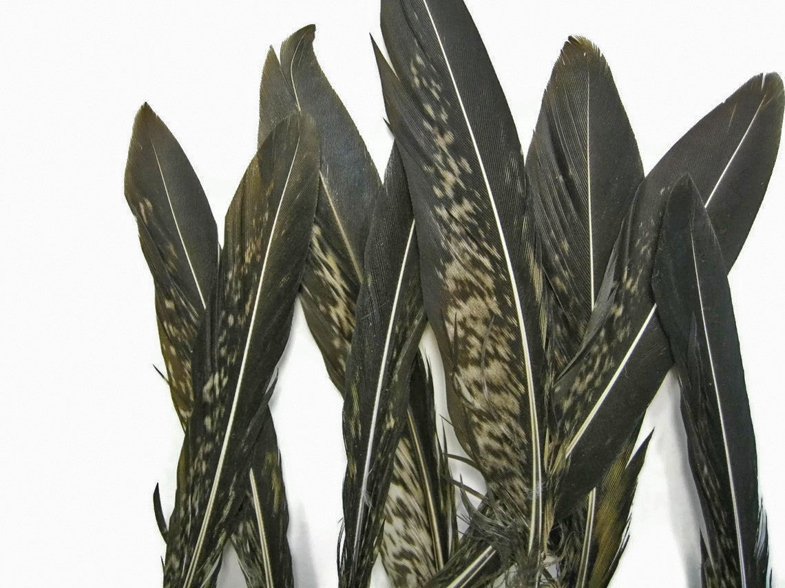 10 Pieces - 4-6" Natural Lady Amherst Pheasant Tail Feathers