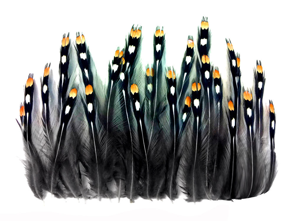 10 Pieces - Natural Gold Jungle Cock Big Eye Loose Feather