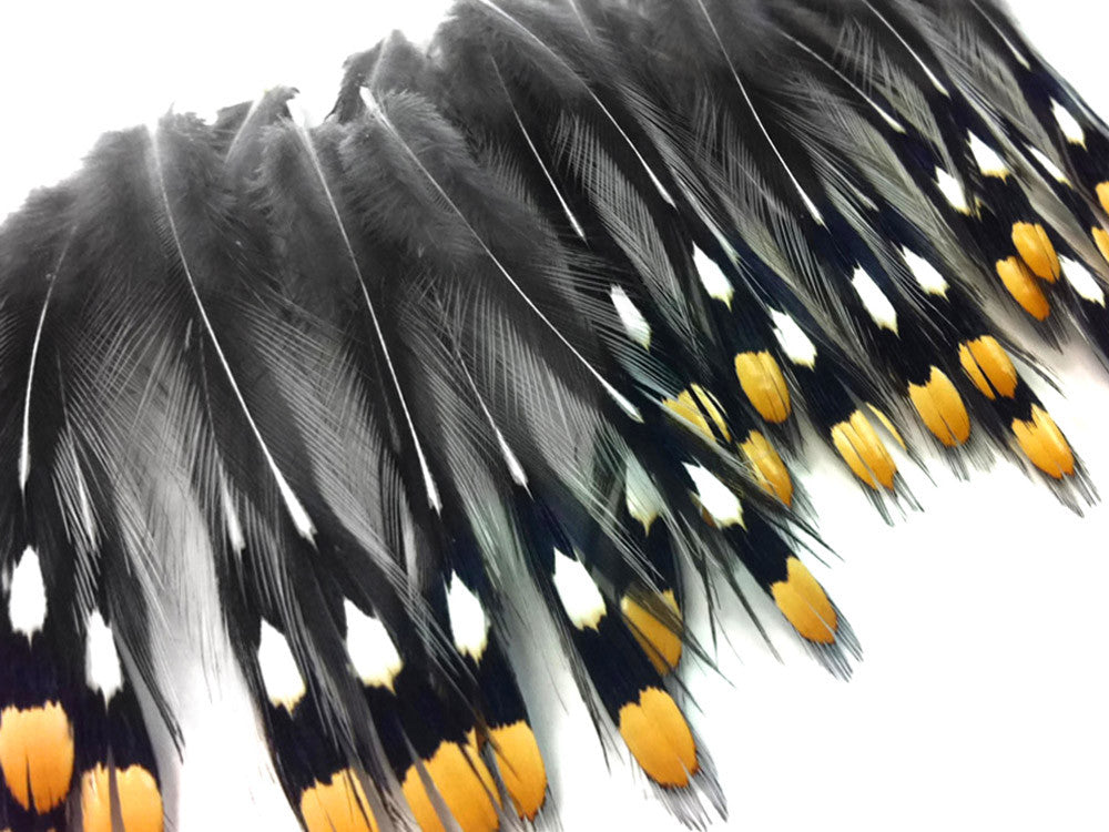 10 Pieces - Natural Gold Jungle Cock Big Eye Loose Feather