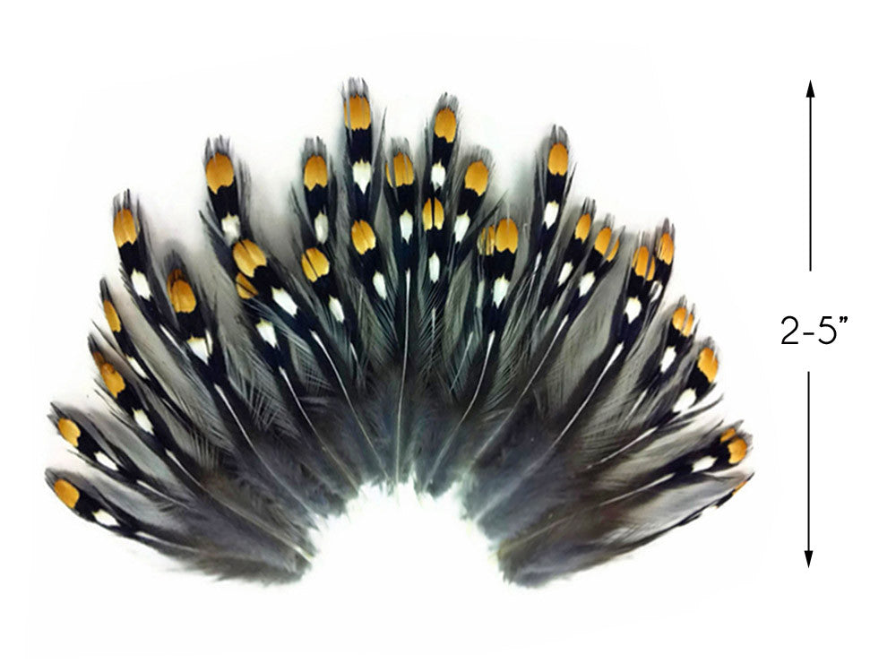 10 Pieces - Natural Gold Jungle Cock Big Eye Loose Feather