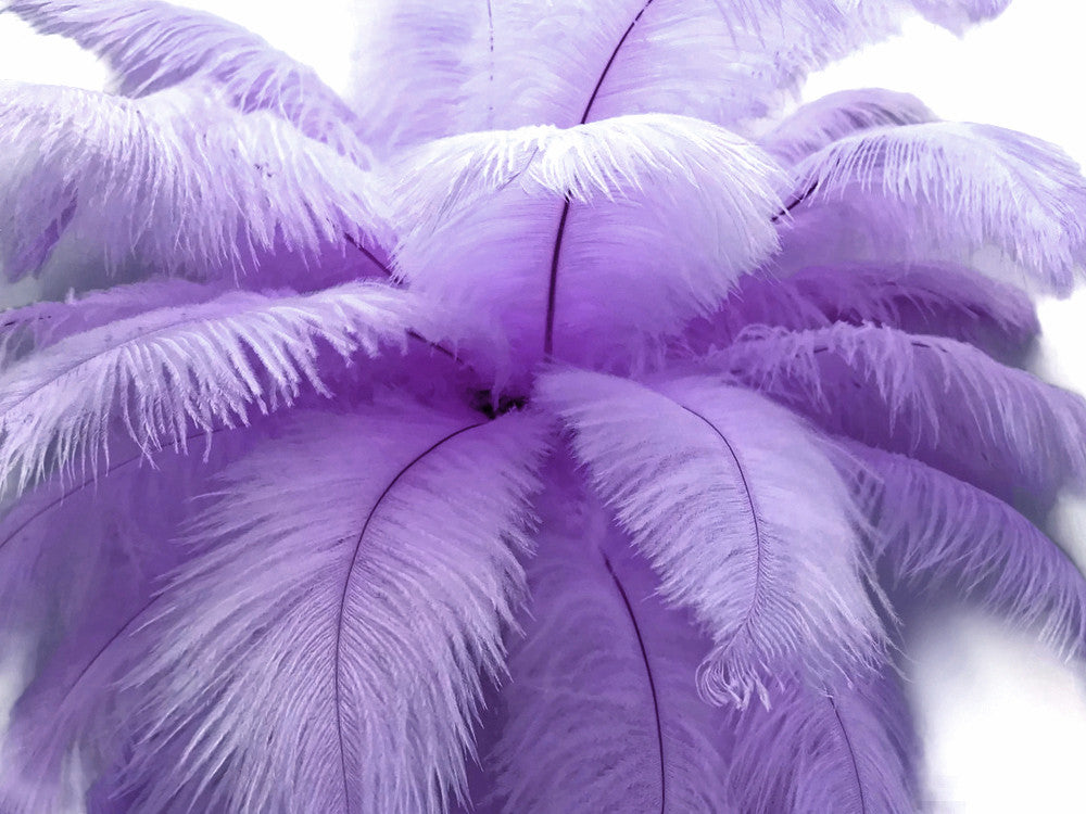 1/2 lb. - 14-17" Lavender Ostrich Large Body Drab Wholesale Feathers (Bulk)