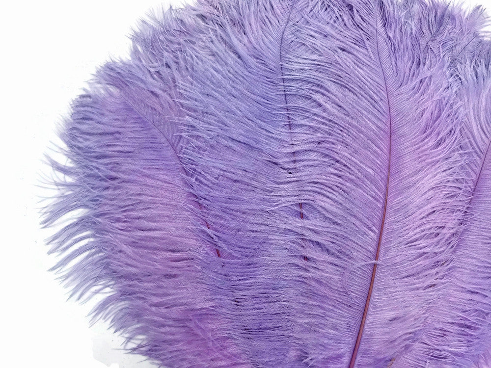 10 Pieces - 14-17" Lavender Ostrich Dyed Drab Body Feathers