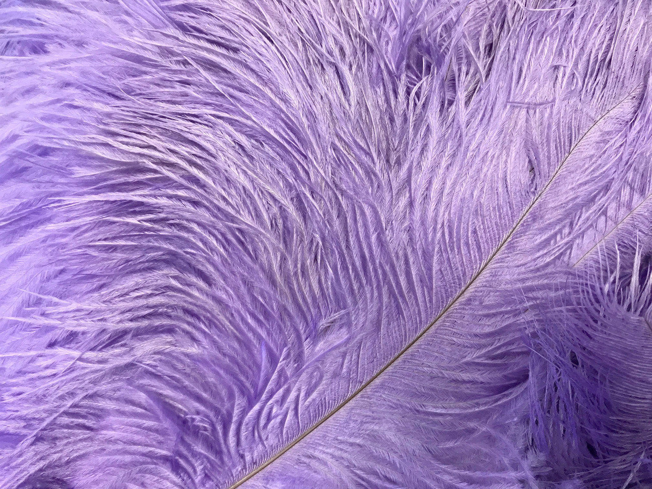 10 Pieces - 14-17" Lavender Ostrich Dyed Drab Body Feathers