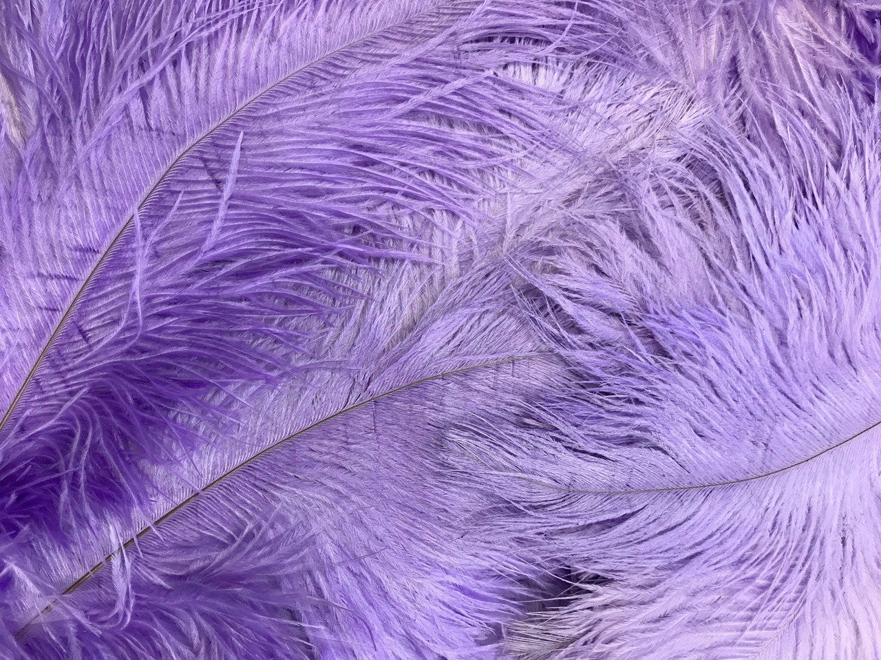 10 Pieces - 14-17" Lavender Ostrich Dyed Drab Body Feathers