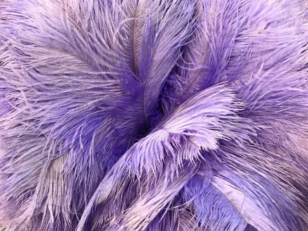 10 Pieces - 14-17" Lavender Ostrich Dyed Drab Body Feathers