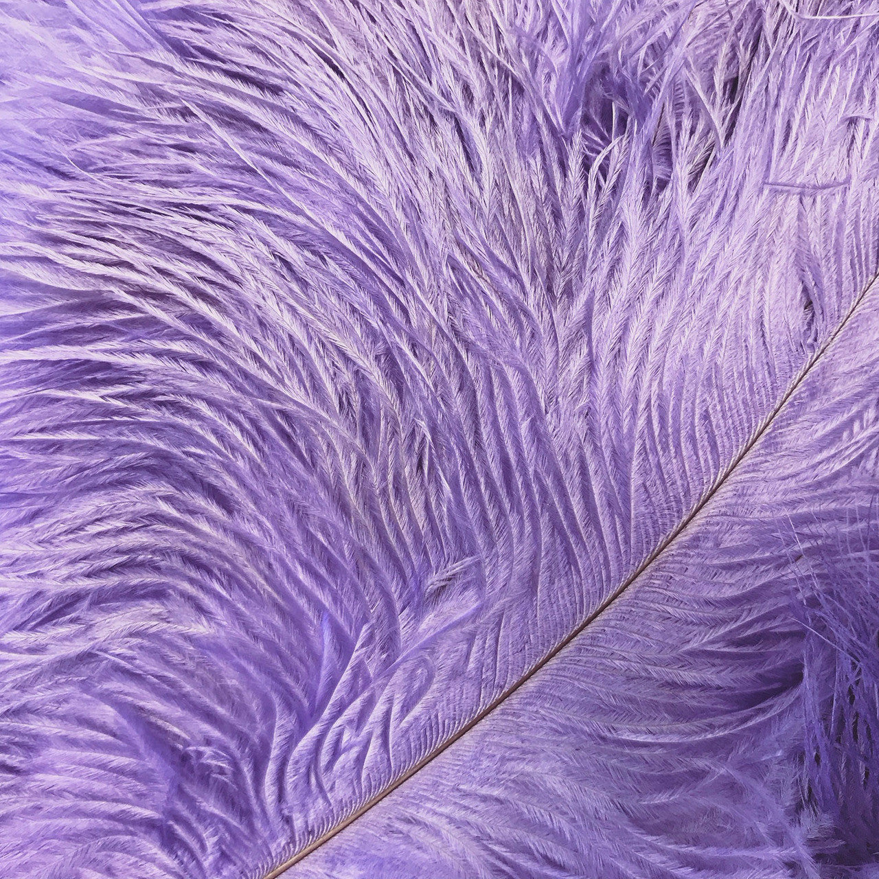 10 Pieces - 14-17" Lavender Ostrich Dyed Drab Body Feathers