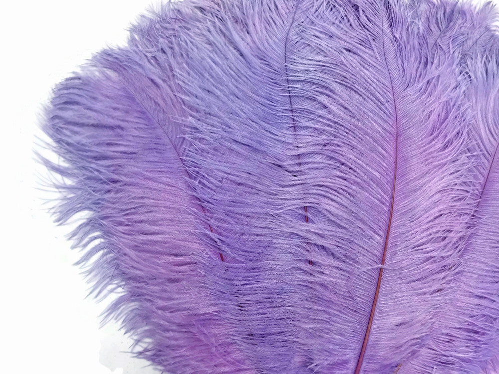 1/2 lb. - 14-17" Lavender Ostrich Large Body Drab Wholesale Feathers (Bulk)