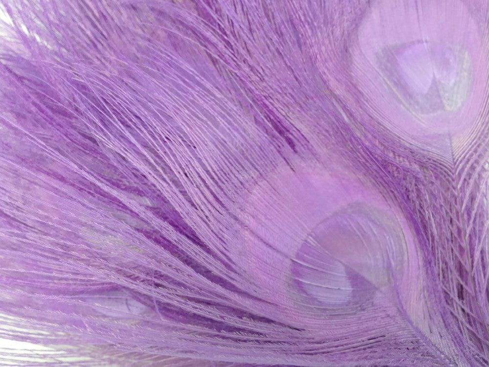 50 Pieces - Lavender Bleached & Dyed Peacock Tail Eye Wholesale Feathers (Bulk)