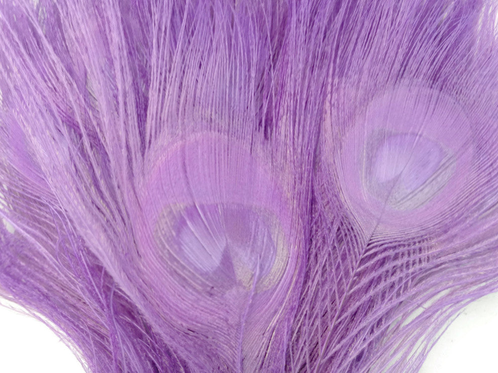 50 Pieces - Lavender Bleached & Dyed Peacock Tail Eye Wholesale Feathers (Bulk)