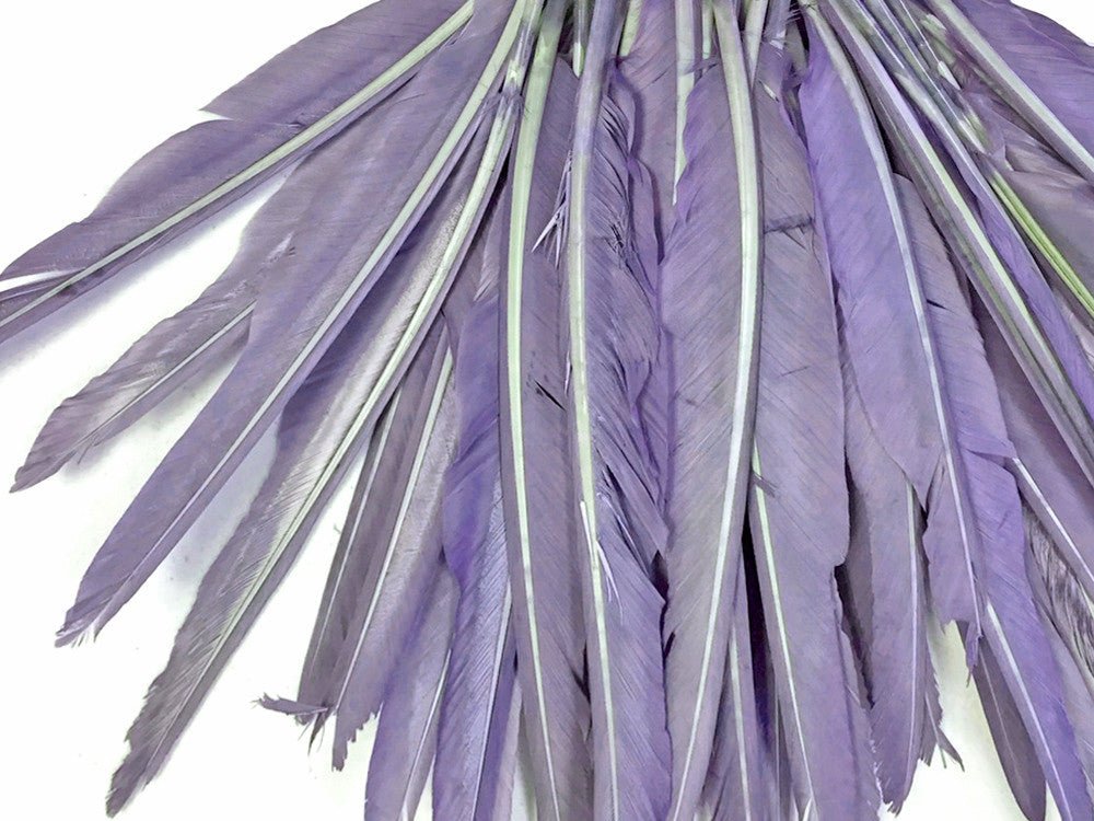 10 Pieces - Lavender Goose Pointers Long Primaries Wing Feathers