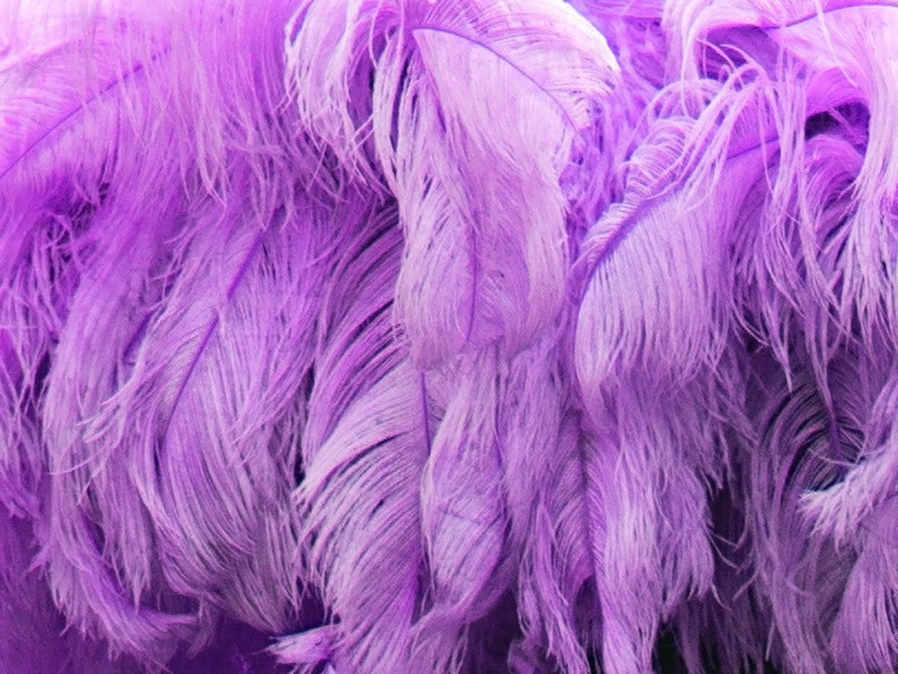 1/2 Lb. - 18-24" Lavender Large Ostrich Wing Plume Wholesale Feathers (Bulk)