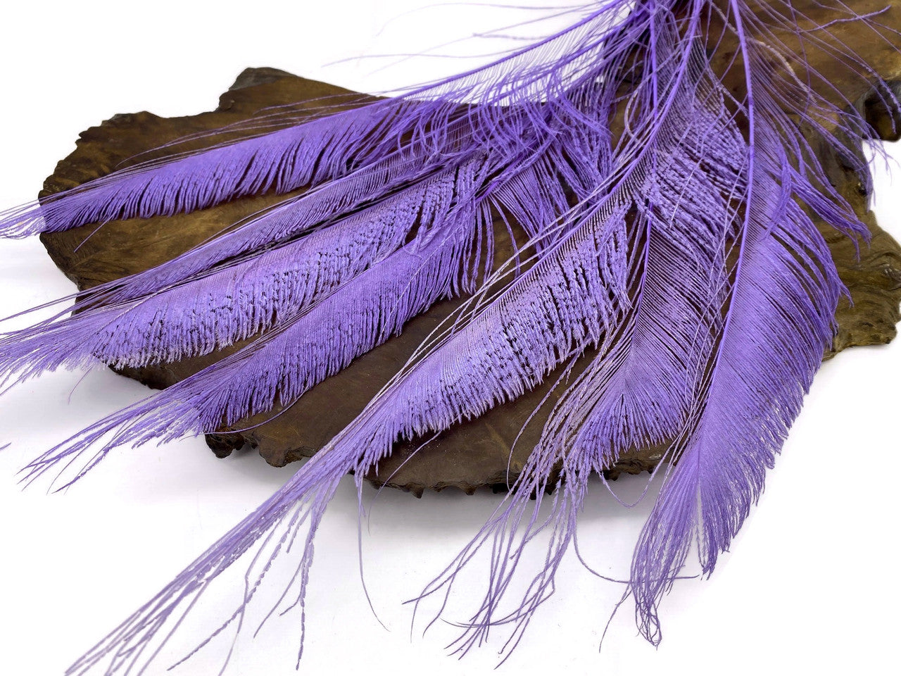 5 Pieces - Lavender Bleached & Dyed Peacock Swords Cut Feathers