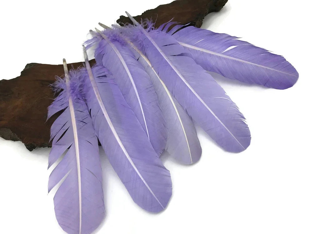 Set of soft lavender purple feathers for DIY crafts and fashion decor.